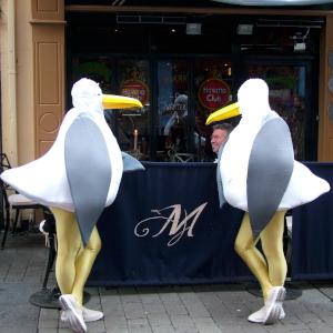 Giant Seagulls strolling street theatre act