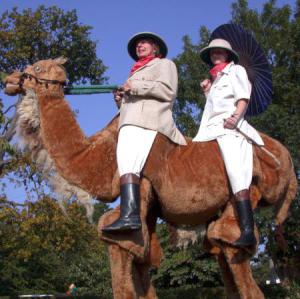 Camel Riders strolling street theatre act.