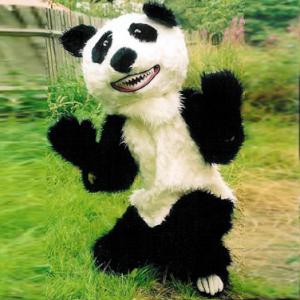 Panda Costume Character for good luck