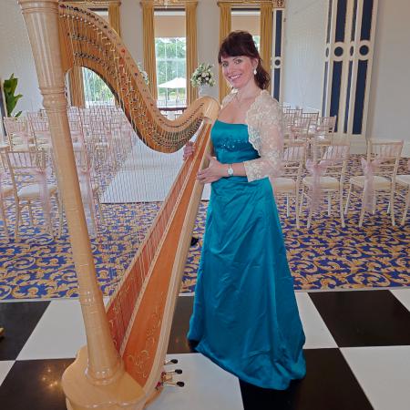 Experienced Harpist