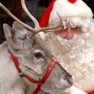 reindeer with santa
