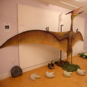 Pterosaur model