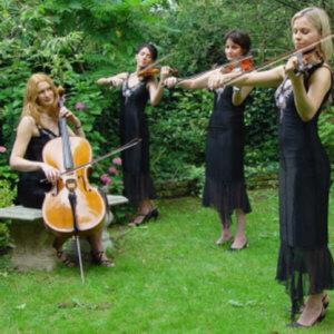 String Trios and Quartets - click for more....