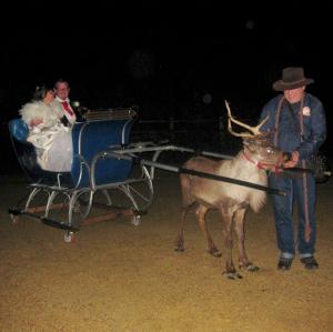 reindeer and wheeled sleigh