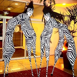 Zebra stilt characters. Please quote grli23.