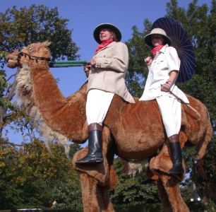 Explorers on a camel. Please quote lemm1