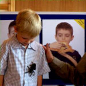 Creepy crawly workshops