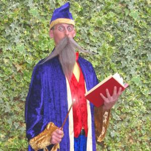Stilt Walking Wizard