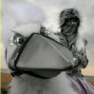 The Ice Bird