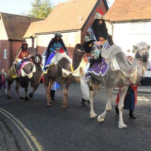camels in procession