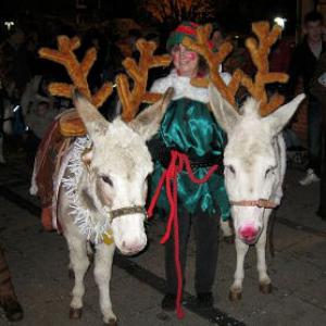 Christmas donkey rides