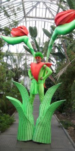 Bird of Paradise style flower. Please quyote here19.