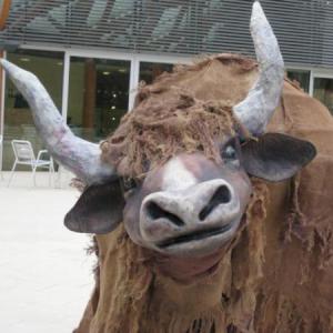 The Yak street theatre act